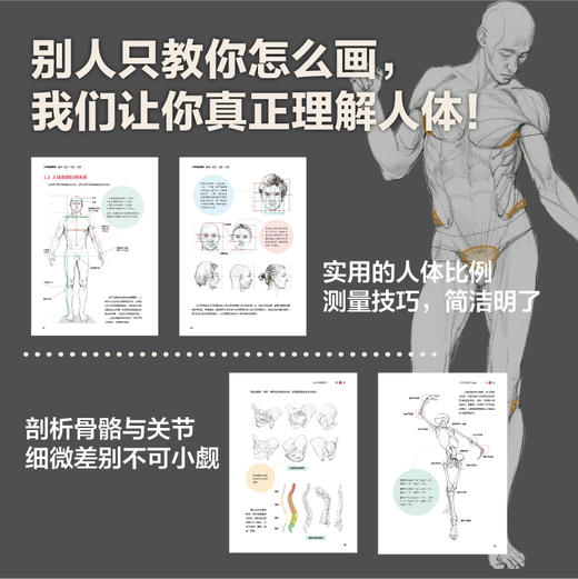 人体绘画精讲 解剖+速写+动态+动漫 人体结构动态结构自学教程基础入门 人物速写入门基础绘画临摹书籍透视技法自学教程 商品图2