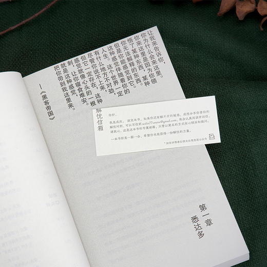 人生解忧：佛学入门四十讲 成庆 著 商品图3