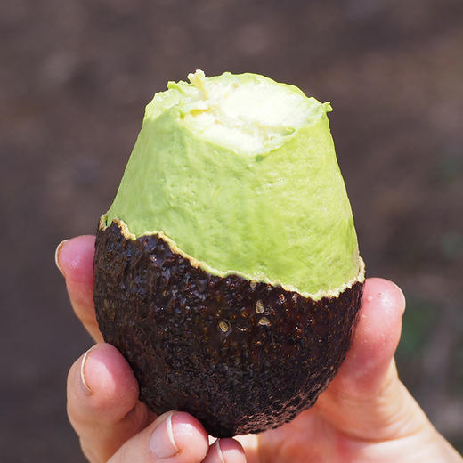 秘鲁牛油果 6粒（2-2.2斤） 商品图2