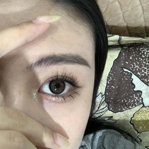 Bariecat日抛·黑糖小丸子·14.5mm中大着色·10片日抛 商品图10