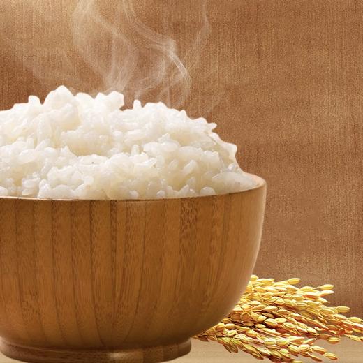 裕道府 寒地鸭田东北大米入口顺滑清香细腻1kg 商品图1