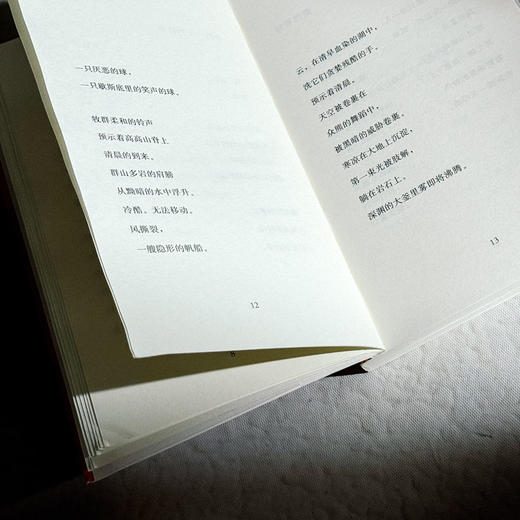 无果的收获 扎伊茲诗选 斯洛文尼亚文学丛书 六点图书 商品图8