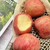 【山东红富士苹果】圆润饱满 果香浓郁 肉质细腻 香甜可口 营养美味 3种规格任选 商品缩略图1