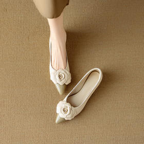 【预售5天】羊皮小香风山茶花尖头浅口单鞋女秋季新款百搭瓢鞋低跟鞋DB&M6391