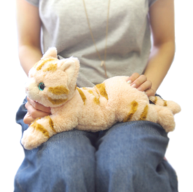 Sunlemon Original美国短毛猫米色小号