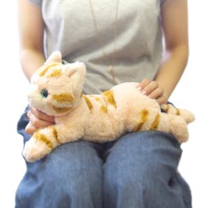 Sunlemon Original美国短毛猫米色小号 商品图0