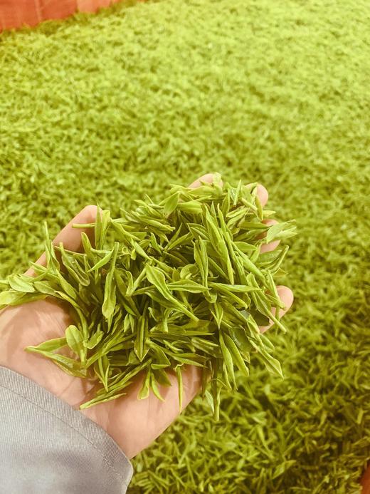 守艺 · 2025年桃花白 新茶 50克 高山绿茶 商品图5