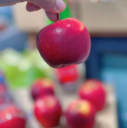 【高端新西兰火箭筒苹果】三年结一果，全球珍贵的苹果，口感超棒！珍惜圣果，口感一股淡淡的樱桃味 商品图4