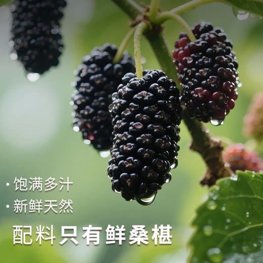 【老师专属】辅滋堂官方桑椹膏220g 商品图3