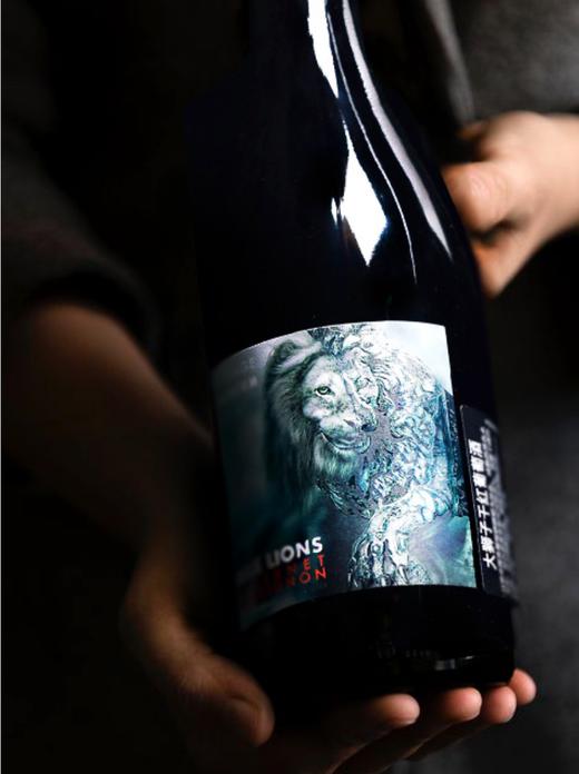 大狮子赤霞珠 干红2020年 商品图0