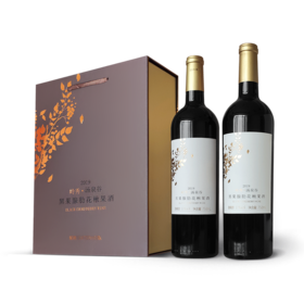 岭秀·汤泉谷2019不老莓酒（礼盒装750mL*2）