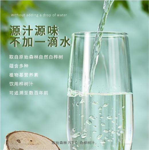 【秒杀】白桦树汁300ml*5瓶 商品图1