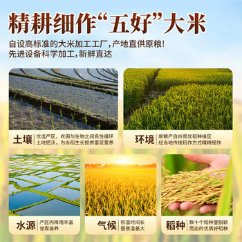 米皇坊甄选猫牙米10斤 籼米长粒米 丝苗米 南方一级大米 当季新米 /粮油调味 /米 /丝苗米 商品图2