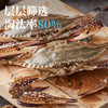 【有钳有钱】精选梭子蟹1.3kg5-6只 液氮锁鲜速冻 壮实饱满 商品缩略图3
