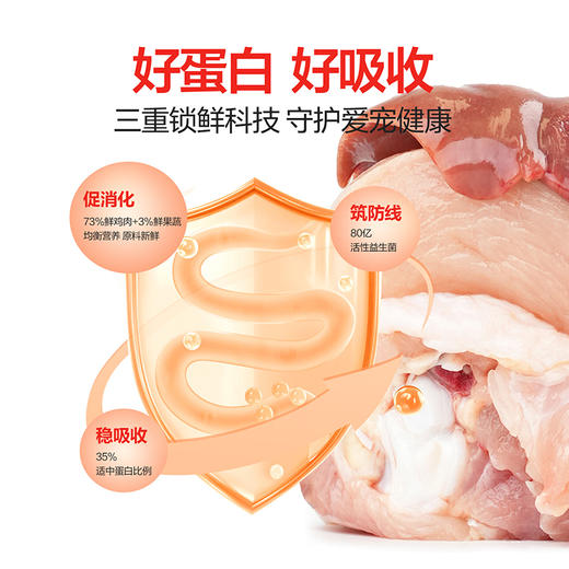 【精准蛋白】K35全价高鲜肉烘焙猫粮益生菌0软便自有工厂 商品图3