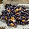 【五香黑花生】低温烘烤， 酥脆饱满、越嚼越香，自然生长，不染色 商品缩略图1