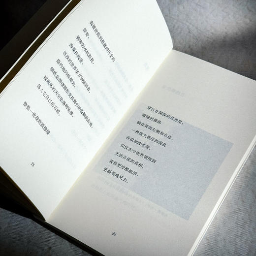 无一缺损 科茨贝克诗选 斯洛文尼亚文学丛书 六点图书 商品图8