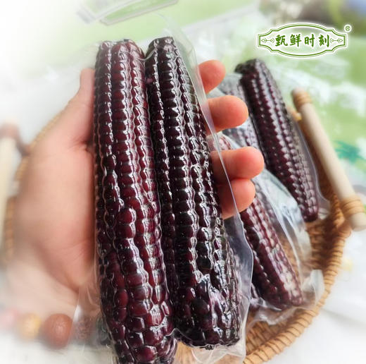 【拇指黑糯玉米】颗粒饱满 软糯Q弹 有着糯玉米的软糯和甜玉米的香甜 皮薄不塞牙 香气扑鼻 2种规格任选 商品图3