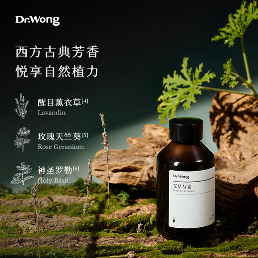 「艾草与姜 」身体按摩油 商品图2