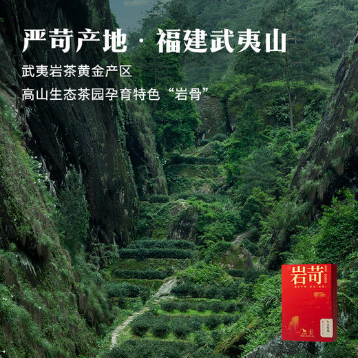 八马茶业 | 岩苛1000大红袍礼盒（轻享版)160g 商品图2