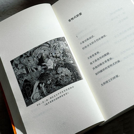 无果的收获 扎伊茲诗选 斯洛文尼亚文学丛书 六点图书 商品图10