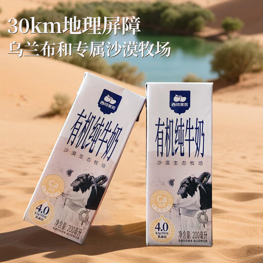 有机纯牛奶  4.0g乳蛋白 145mg/100ml原生高钙   自然回甘不腥腻 200ml*10盒 商品图4