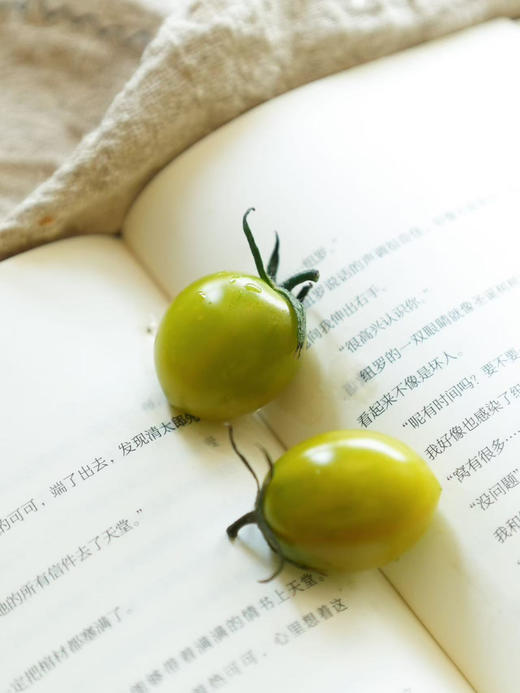 ✈️包邮到家，源自大凉山的阳光馈赠
每一颗青玉小番茄都饱含高原的纯净与甜美
咬下一口，感受自然的清新滋味，2.5斤/箱 商品图3