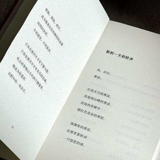 无果的收获 扎伊茲诗选 斯洛文尼亚文学丛书 六点图书 商品图7