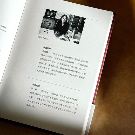 记逝录 张明皚代表诗集 中英双语 独角兽文库 商品图6