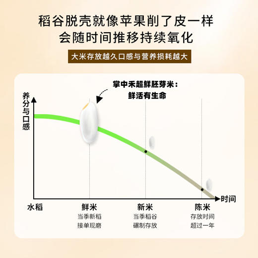 「鲜活胚芽米！5斤装」 掌中禾大米鲜食胚芽米5斤  大米胚芽粳米谷物米粮油米面 商品图3