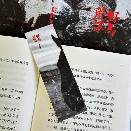 荒野寻马 真正的自由 是允许自己成为一粒雪 商品图1