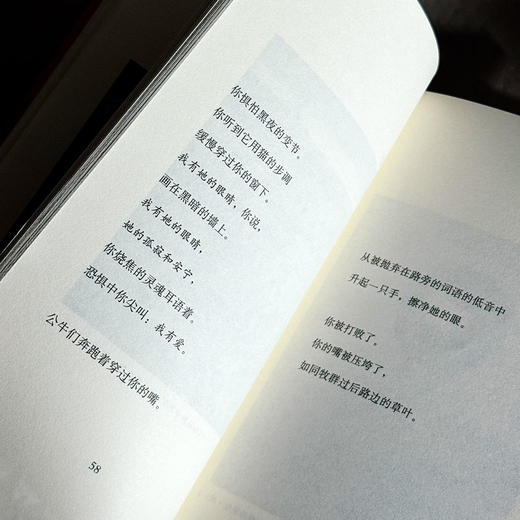 无果的收获 扎伊茲诗选 斯洛文尼亚文学丛书 六点图书 商品图11