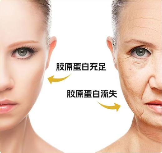 LACUES重组胶原蛋白填充丸胶囊60粒/瓶 紧致修护滋养舒缓保湿敏感肌可用温和无刺激 商品图2