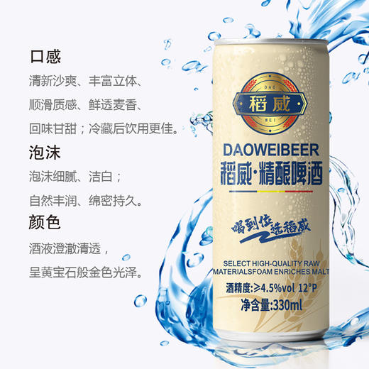稻威精酿黄啤12度330ml罐装品牌直营批发拉格工艺优质进口原料 商品图2