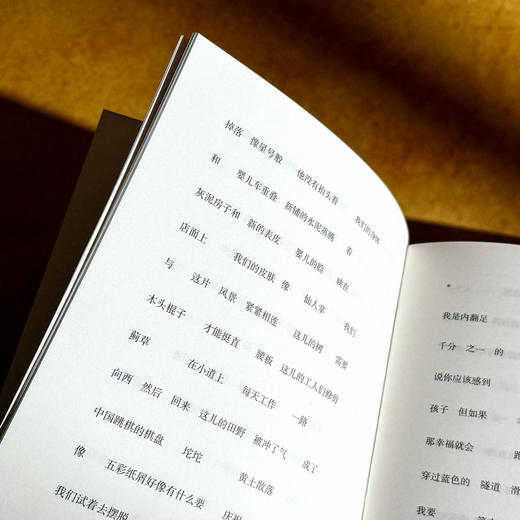 记逝录 张明皚代表诗集 中英双语 独角兽文库 商品图10