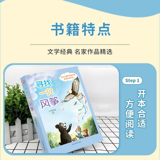 寻找一只风筝 商品图3