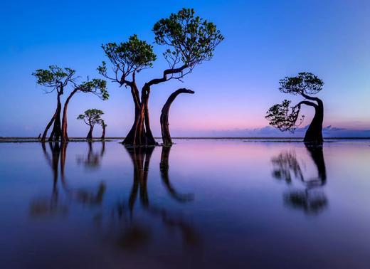 多彩印尼：Bromo火山、赛武瀑布、魔界森林、巴厘岛、松巴岛橡树森林、科莫多粉色沙滩、蜥蜴龙8天—13天摄影+航拍团 商品图1