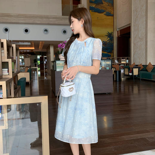 奢姿大码女装2025夏季胖妹妹新款格子绣圆点轻奢休闲圆领连衣裙9952822301 商品图1