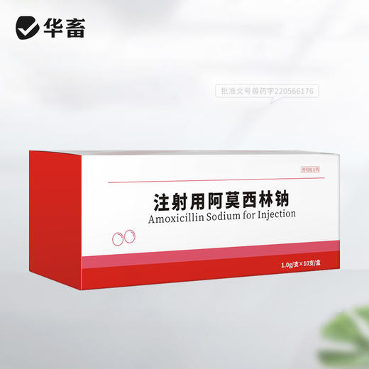 华畜注射阿莫西林钠牛羊猪咳喘腹泻拉稀胸膜肺炎抗菌消炎兽药大全 商品图5