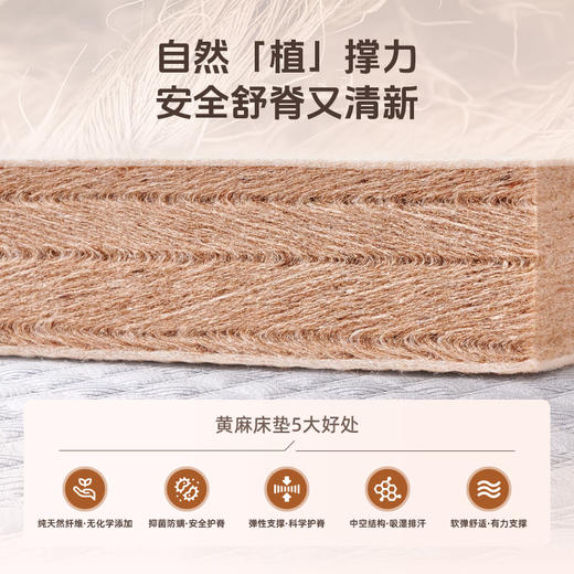 雅芳婷格斯黄麻护脊床垫家用卧室抑菌防螨床垫租房专用榻榻米床垫 商品图1