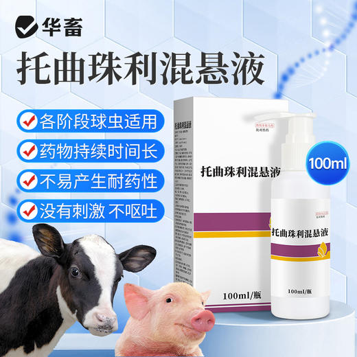 华畜5%球虫清托曲珠利混悬液兽用仔猪犊牛用抗球虫药腹泻拉稀兽药 商品图0