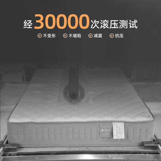 雅芳婷床垫家居床上用品金刚特硬床垫(新款)LK039 商品图4
