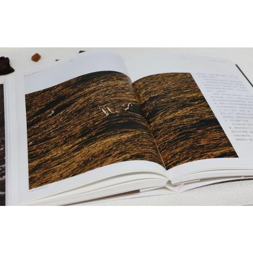 雪豹一家卓玛王朝 商品图3