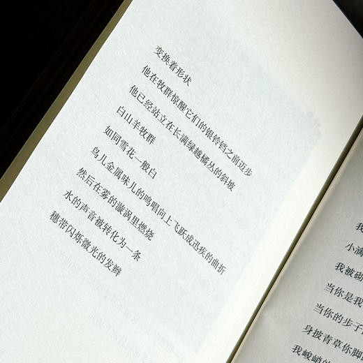 无果的收获 扎伊茲诗选 斯洛文尼亚文学丛书 六点图书 商品图12