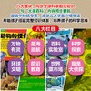 大英百科少儿探索杂志 25年7月-26年6月(全年共12期)【全年订阅】 商品缩略图9