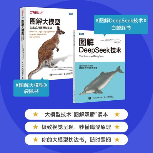 图解DeepSeek技术 deepseek教程DeepSeek项目原理开发大模型应用开发agent智能体RAG 商品图4