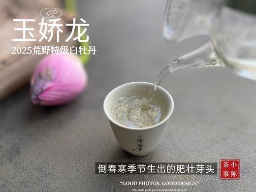 【2025春茶】2025荒野牡丹王，生在了倒春寒的季节，清润，柔甜，如浆似汤，野性难驯（50克） 商品图12