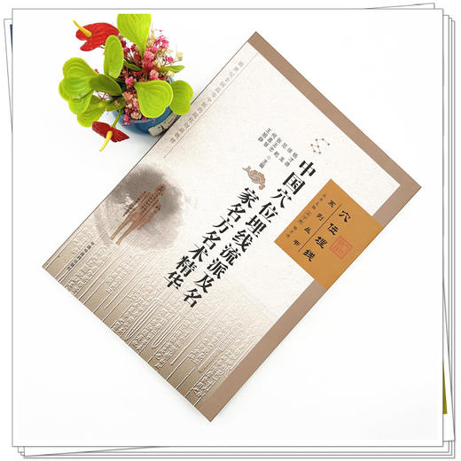 中国穴位埋线流派及名家名方名术精华 杨才德 徐龙 范乾 张玉忠 何嘉慧 王旭静 主编 石学敏 穴位埋线系列丛书 中国中医药出版社 商品图1