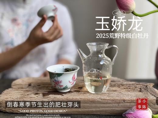 【2025春茶】2025荒野牡丹王，生在了倒春寒的季节，清润，柔甜，如浆似汤，野性难驯（1斤收藏装） 商品图6