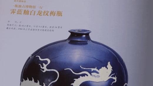 《镇馆之宝》典藏版 | 66家博物馆237件镇馆之宝的饕餮盛宴，国宝开口说话，让你一次性了悟一万年文明史！ 商品图5